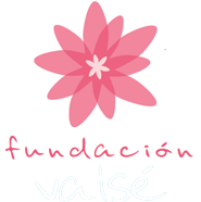 Fundación Valsé logo rosa2